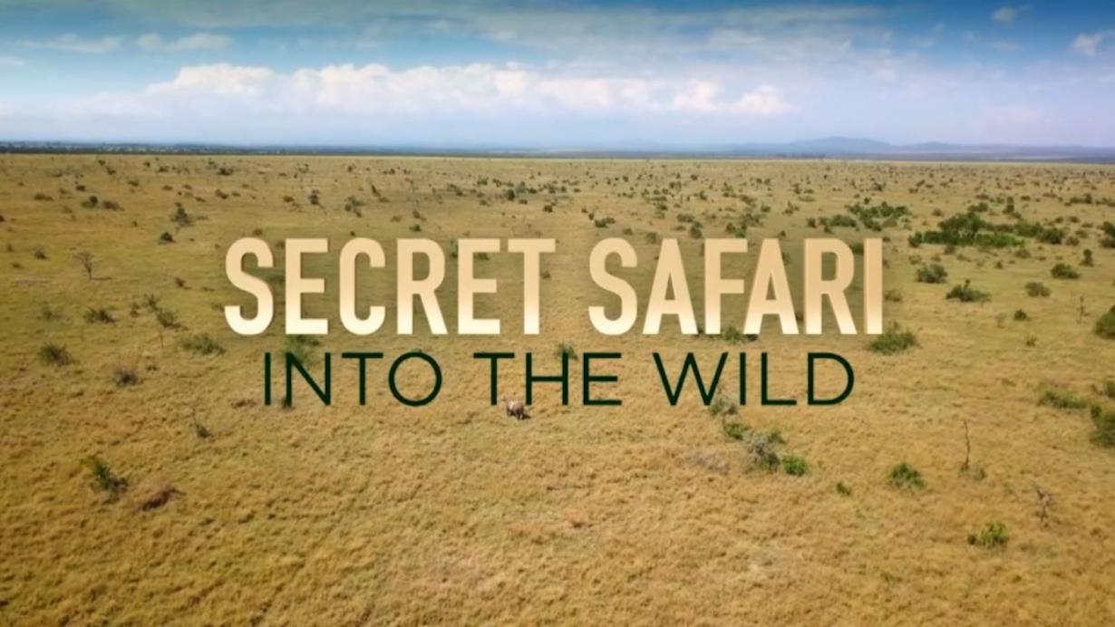 Secret safari 